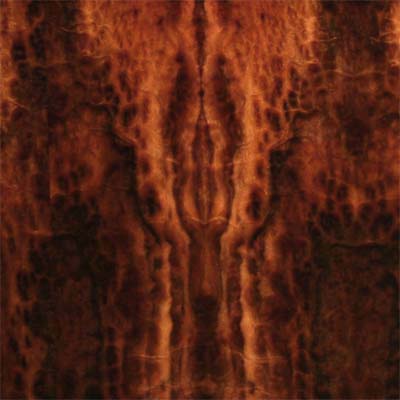 Camphor Burl
